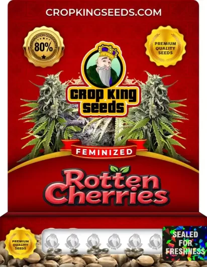 rotten-cherries-image
