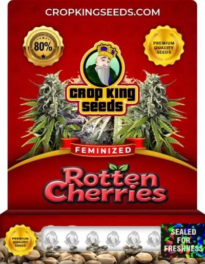 Rotten Cherries