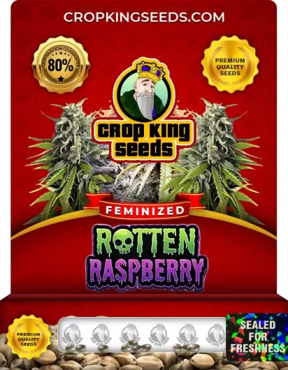 rotten-raspberry-image