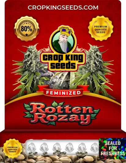 rotten-rozay-image