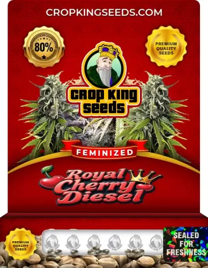 royal-cherry-diesel-image