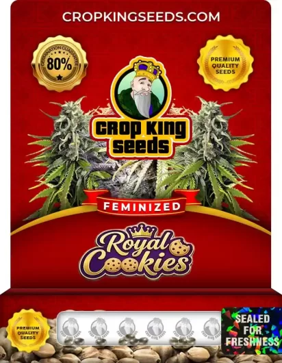 royal-cookies-image