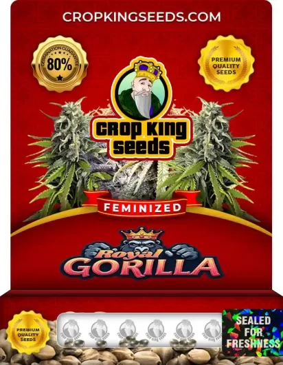royal-gorilla-image