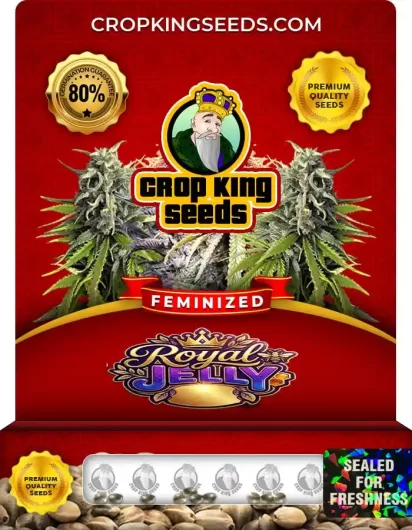 royal-jelly-image