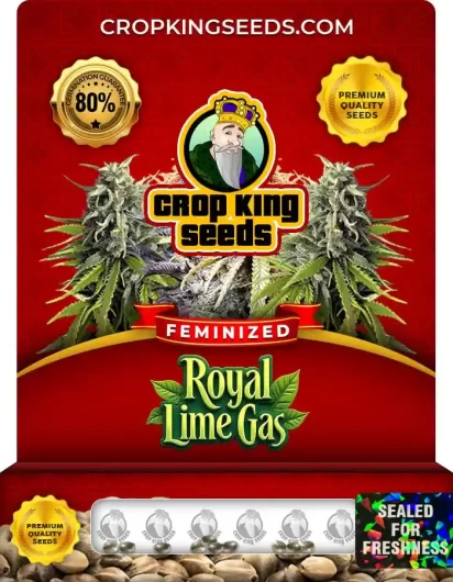 royal-lime-gas-image