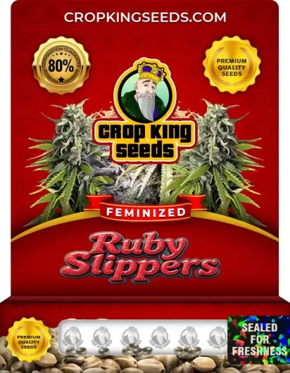ruby-slippers-image