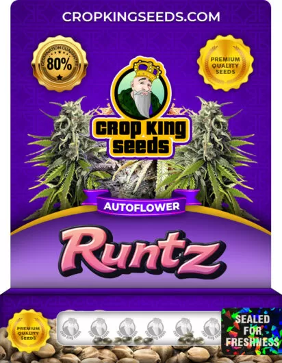 runtz-autoflower-image