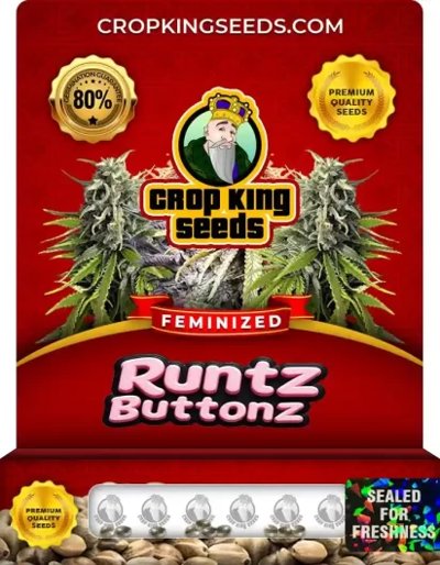 Runtz Buttonz