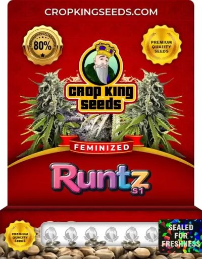Runtz S1