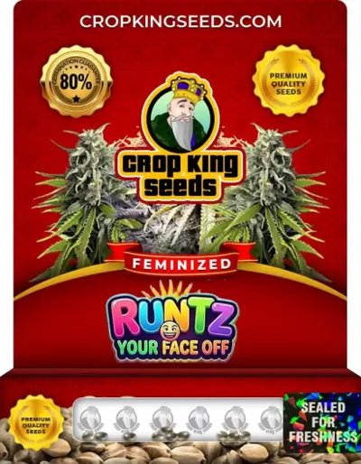 Runtz Your Face Off