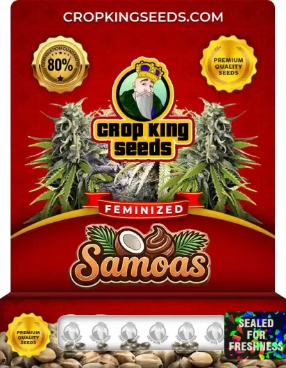 samoas-image