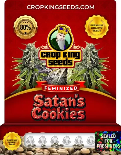 satan’s-cookies-image