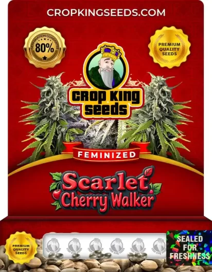 scarlet-cherry-walker-image