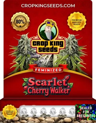 Scarlet Cherry Walker