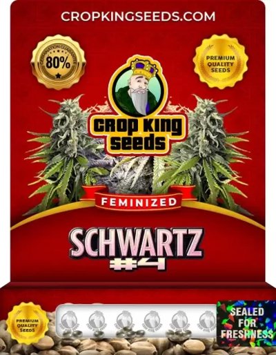 Schwartz #4