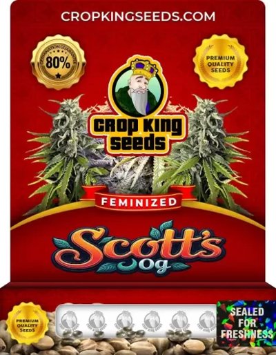 Scotts OG