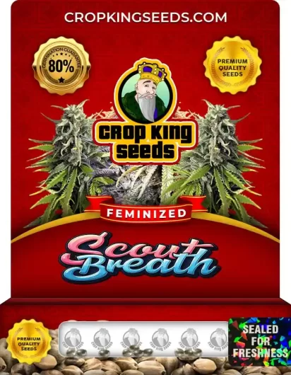 scout-breath-image