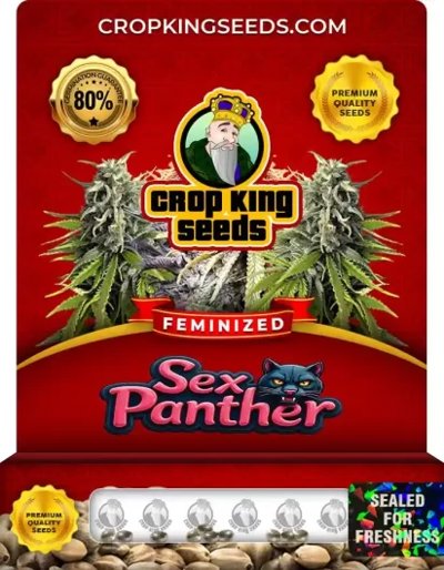 Sex Panther