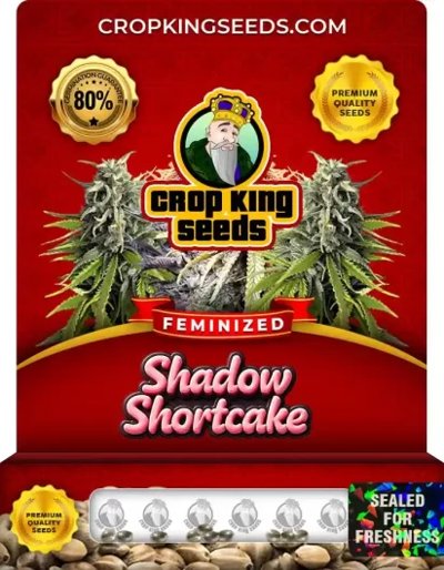 Shadow Shortcake