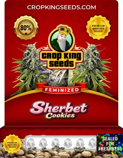 sherbet-cookies-image