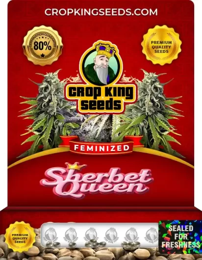sherbet-queen-image