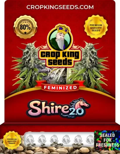shire-2.0-image