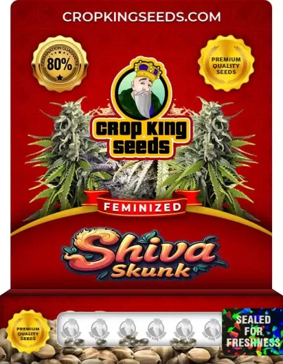 shiva-skunk-image