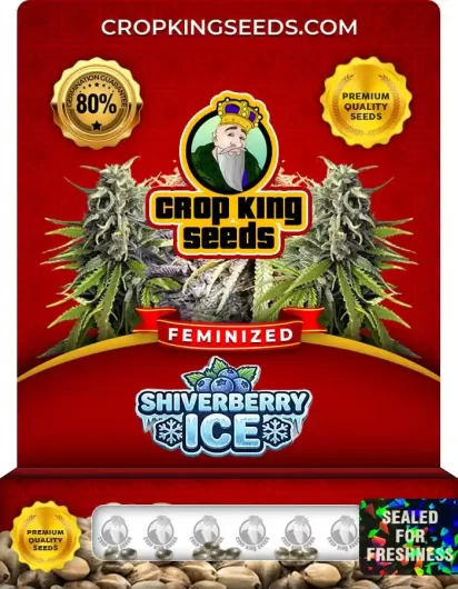 shiverberry-ice-image