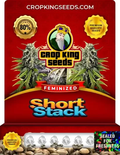short-stack-image