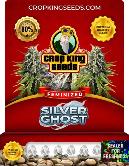silver-ghost-image