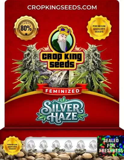 silver-haze-image