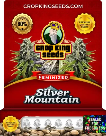 silver-mountain-image
