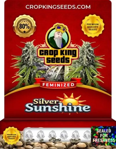 Silver Sunshine