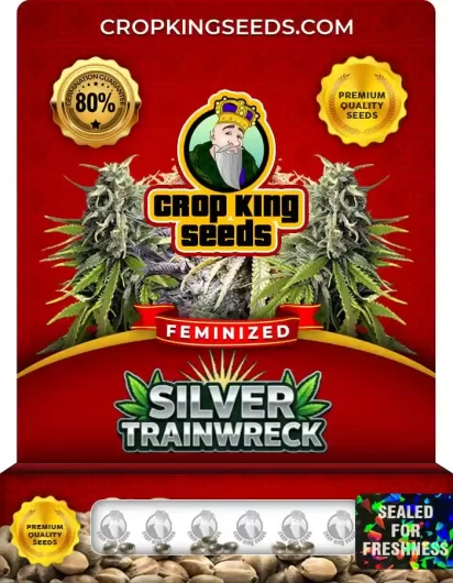 silver-trainwreck-image