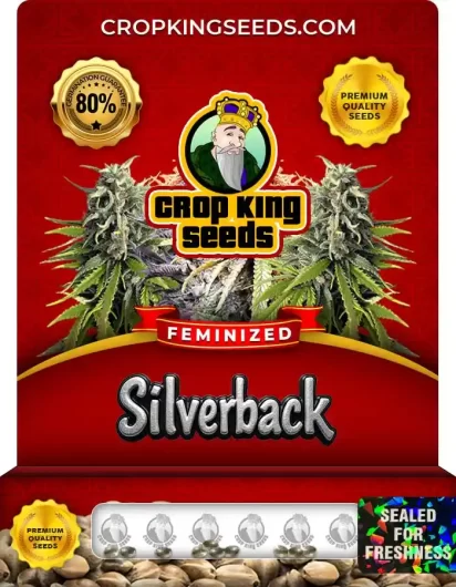 silverback-image
