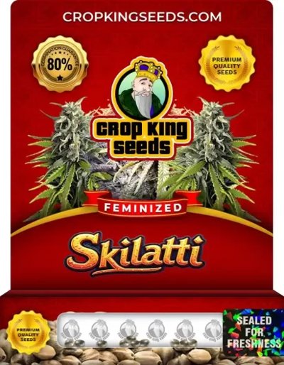 Skilatti