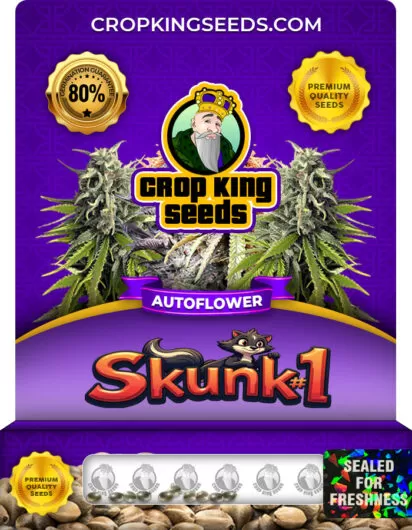 ​​skunk-1-autoflower-image