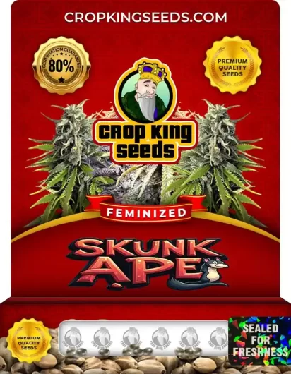 skunk-ape-image