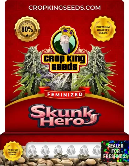 skunk-hero-image