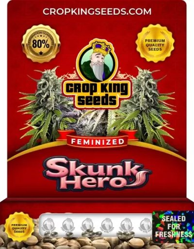 Skunk Hero