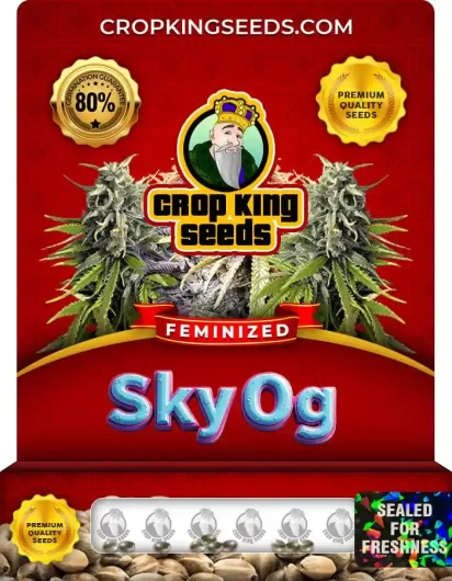 sky-og-image