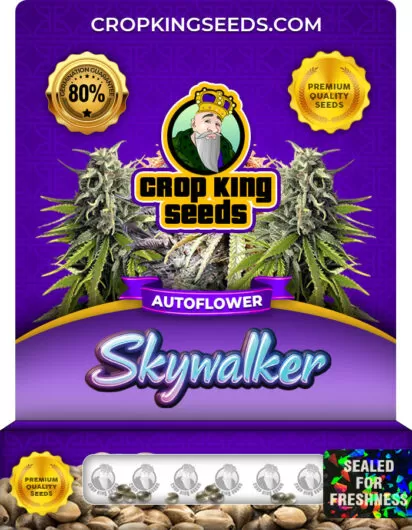 skywalker-autoflower-image