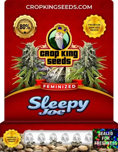 sleepy-joe-image