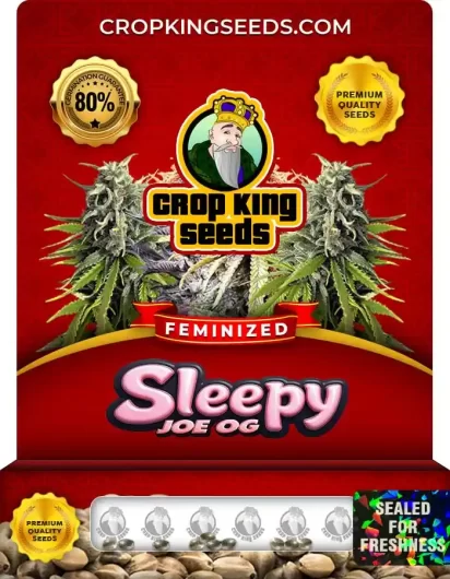 sleepy-joe-og-image