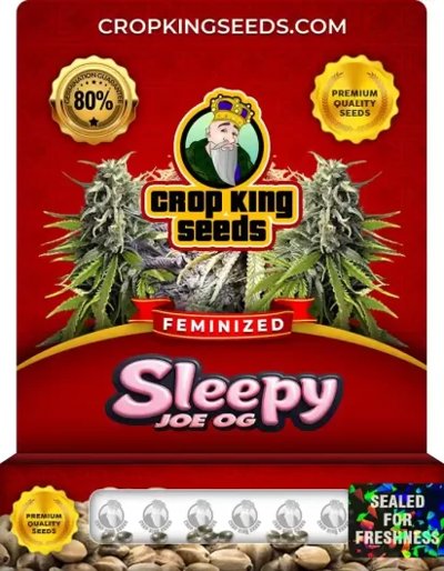 Sleepy Joe OG