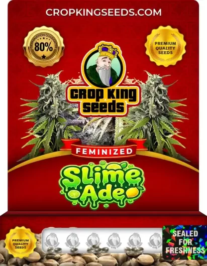 slime-ade-image