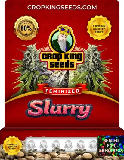 slurry-image