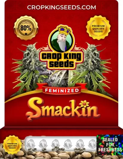 smackin-image