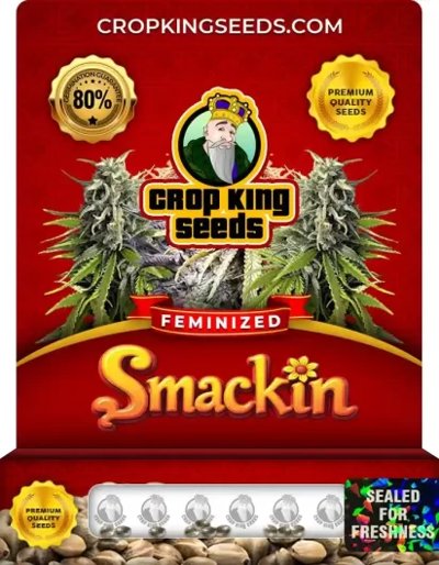 Smackin