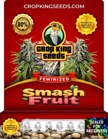 smash-fruit-image